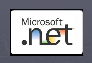 NET Framework Overview NET and the NET Framework