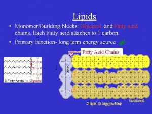 Lipids MonomerBuilding blocks Glycerol and Fatty acid chains