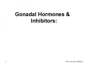 Gonadal Hormones Inhibitors 1 PM 7 41 48