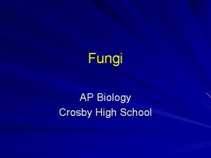 Fungi AP Biology Crosby High School Absorptive Nutrition