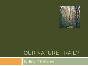 OUR NATURE TRAIL By Erika Katharine The Nature