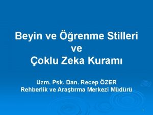 Beyin ve renme Stilleri ve oklu Zeka Kuram