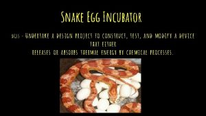 Snake Egg Incubator NGSS Undertake a design project