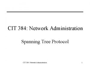 CIT 384 Network Administration Spanning Tree Protocol CIT