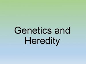 Genetics and Heredity Gregor Mendel Austrian Monk Experimented