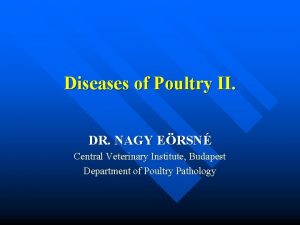 Diseases of Poultry II DR NAGY ERSN Central