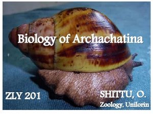 Biology of Archachatina ZLY 201 SHITTU O Zoology