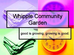 Whipple Community Garden good is growing is good
