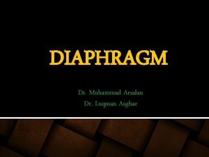 DIAPHRAGM Dr Muhammad Arsalan Dr Luqman Asghar DIAPHRAGM DIAPHRAGM Dr Muhammad Arsalan Dr Luqman Asghar DIAPHRAGM