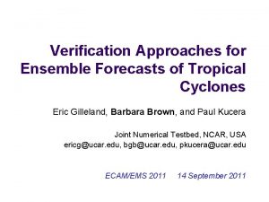 Verification Approaches for Ensemble Forecasts of Tropical Cyclones