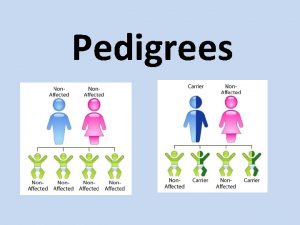 Pedigrees Using Pedigrees Humans cannot be selectively bred