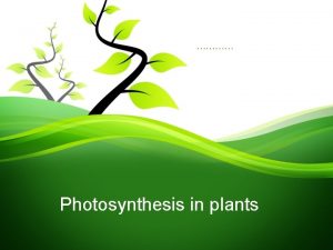 Photosynthesis in plants Overview Photosynthesis is the process
