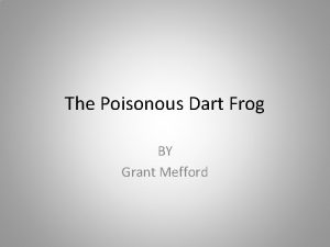 The Poisonous Dart Frog BY Grant Mefford Poisonous