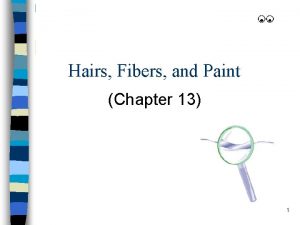 Hairs Fibers and Paint Chapter 13 1 Hair