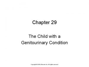 Chapter 29 The Child with a Genitourinary Condition