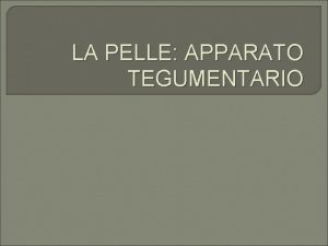 LA PELLE APPARATO TEGUMENTARIO Funzioni Protezione e difesa