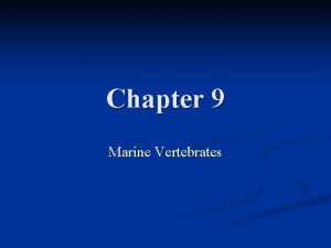 Chapter 9 Marine Vertebrates Vertebrates Animals with a