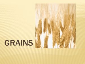 GRAINS 7 PRINCIPLE GRAINS Wheat rice oats barley