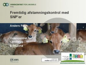 Fremtidig afstamningskontrol med SNPer Anders Fogh Videncentret for