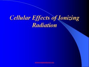 Cellular Effects of Ionizing Radiation www assignmentpoint com