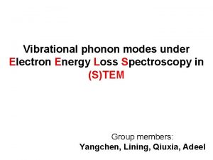 Vibrational phonon modes under Electron Energy Loss Spectroscopy