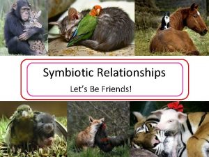 Symbiotic Relationships Lets Be Friends Symbiosis derives from