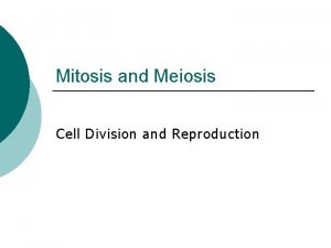 Mitosis and Meiosis Cell Division and Reproduction MITOSIS