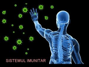 SISTEMUL IMUNITAR Sistemul imunitar sau imunitatea este un