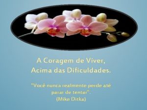 A Coragem de Viver Acima das Dificuldades Voc