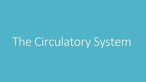 The Circulatory System Circulatory System The circulatory system
