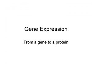 Gene Expression From a gene to a protein