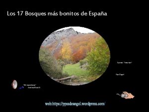 Los 17 Bosques ms bonitos de Espaa Fuente