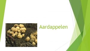 Aardappelen Hoofstuk 1 Aardappelteelt in Nederland Evolutie van