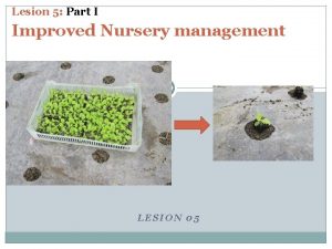 Lesion 5 Part I Improved Nursery management LESION