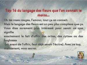 Top 16 du langage des fleurs que lon