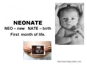 NEONATE NEO new NATE birth First month of