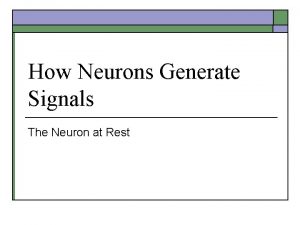 How Neurons Generate Signals The Neuron at Rest