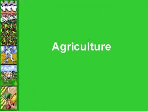 Agriculture Agricultural Hearths 1 st Agricultural Revolution Carl