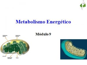 Metabolismo Energtico Mdulo 9 Reaes qumicas acoplamento de