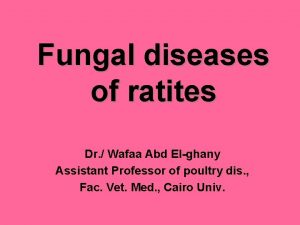 Fungal diseases of ratites Dr Wafaa Abd Elghany