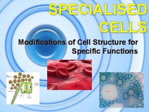 SPECIALISED CELLS Modifications of Cell Structure for Specific