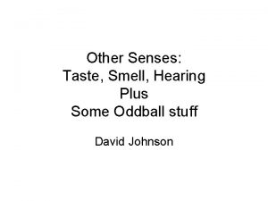 Other Senses Taste Smell Hearing Plus Some Oddball
