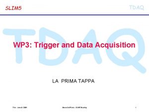 TDAQ SLIM 5 TDAQ WP 3 Trigger and