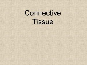 Connective Tissue Connective Tissues 2 Parts 1 Cells