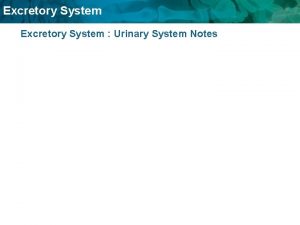 Excretory System Urinary System Notes Excretory System Function