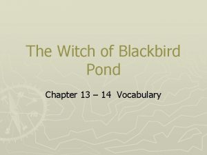 The Witch of Blackbird Pond Chapter 13 14