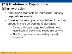 23 Evolution of Populations Microevolution Natural selection acts