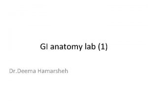 GI anatomy lab 1 Dr Deema Hamarsheh q