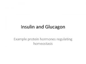 Insulin and Glucagon Example protein hormones regulating homeostasis