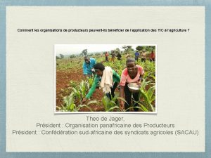 Comment les organisations de producteurs peuventils bnficier de